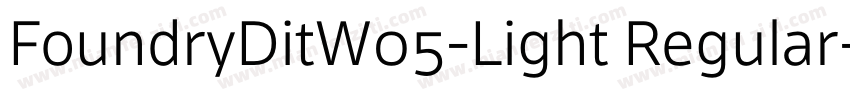 FoundryDitW05-Light Regular字体转换